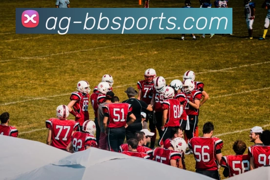 贝博体育BBSport平台生态图